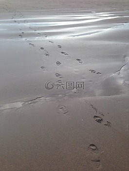 足跡,沙,海灘