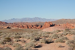美國,內(nèi)華達,谷火