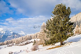 雪,冬天,性质