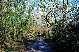 自然,季節(jié),放松
