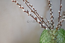 花,柳,猫