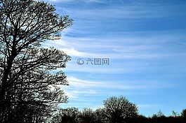 藍(lán)色,云,枝杈
