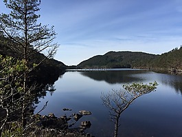 景觀,湖,自然