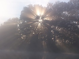背光,水,太陽