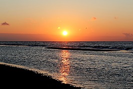 日落,海,海灘