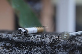 吸煙,魅力,煙