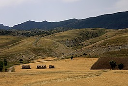 性質(zhì),山,草原
