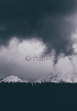 雪,冬天,白