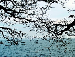 分支機(jī)構(gòu),海,群島