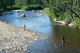 河,釣魚(yú),男子