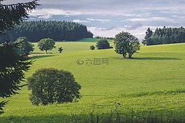 性質(zhì),景觀,草地