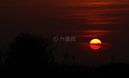 日落,天空,云