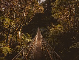掛,橋,戶外