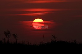 日落,天空,云
