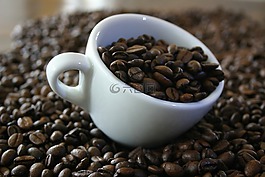 咖啡,bean,杯
