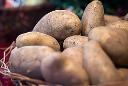 土豆,蔬菜,感恩節(jié)