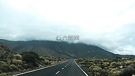路,街,景觀