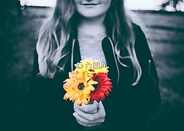 花,紅色,黃色