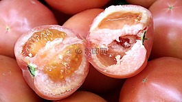 番茄,西紅柿,斷面