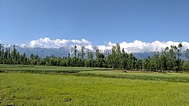 自然,土地,綠色
