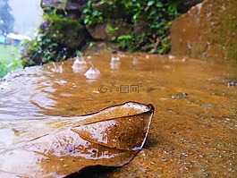 離開,干,雨