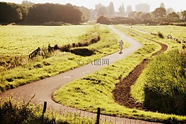 荷兰,景观,荷兰风景