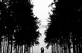 夫婦,側(cè)影,自然