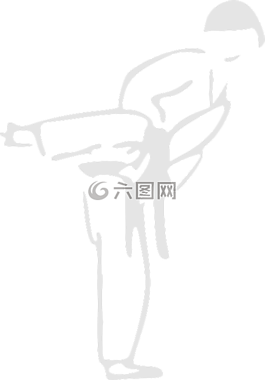 空手道,男孩,男子