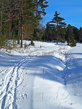 雪,冬天,季节
