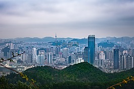 城市,天際線,市容