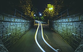 路,街,樹