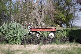 車皮,花園,老