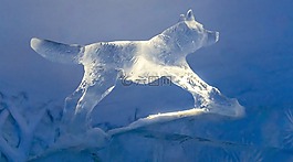snowhotel,冰酒吧,冰雕