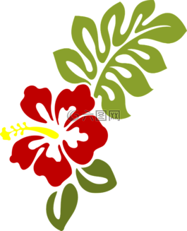 槿,開花,葉