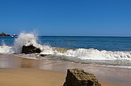 人體內(nèi)的水,波,海