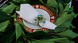 東方,菜,模式