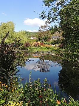 花園,鮮花,吉維尼