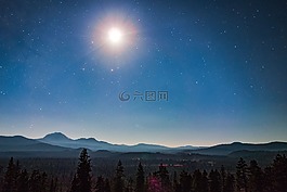 山,高峰,樹