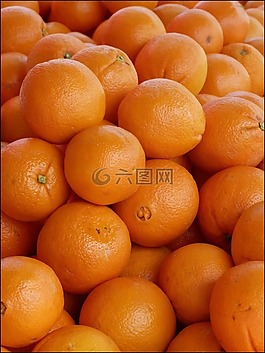 橙色,水果,飲食