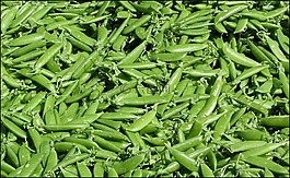 豆类,蔬菜,绿色