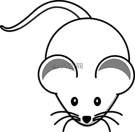 鼠標(biāo),動物,白