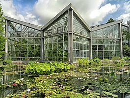 法蘭克福,德國(guó),植物園