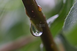 滴,雨,雨滴