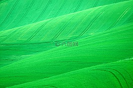 場,草,農業(yè)
