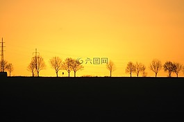 日落,樹,剪影