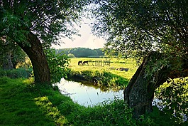 荷兰,荷兰风景,景观