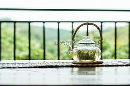 春天,高山,茶園