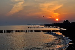 日出,海灘,夏季