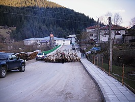 特里格勒,保加利亞,村