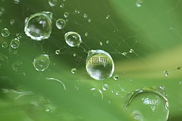 水,拖放,液體